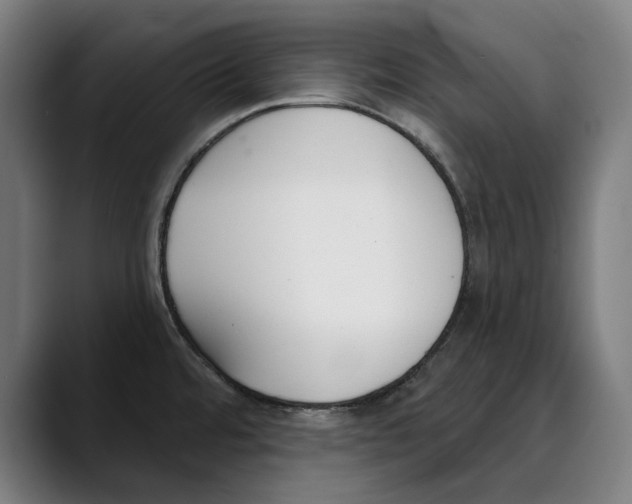 X0000089341480200707131502