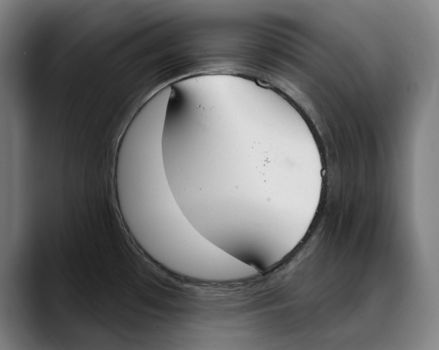X0000089341481200707131502