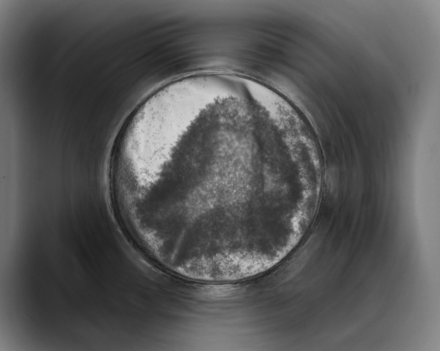 X0000089341482200707131502