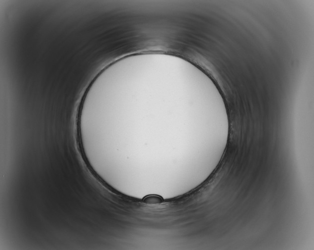 X0000089341483200707131502