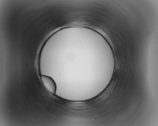 X0000089341486200707131502