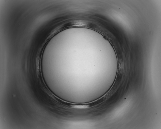 X0000089341487200707131502