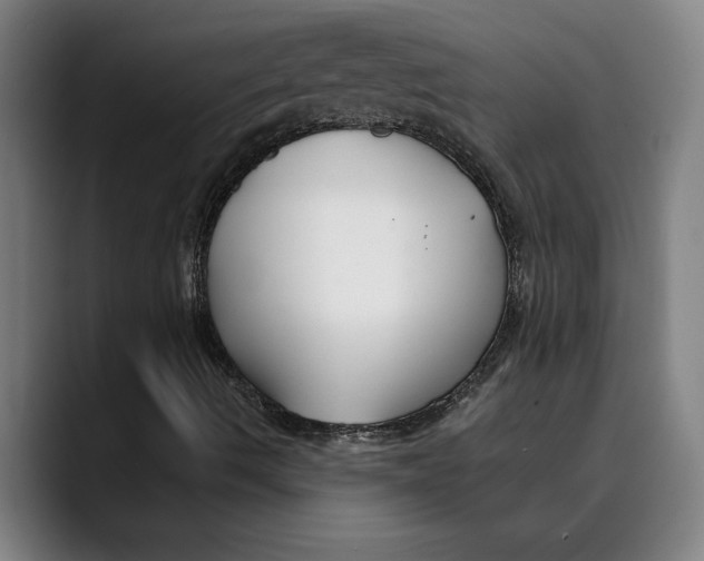 X0000089341490200707131502