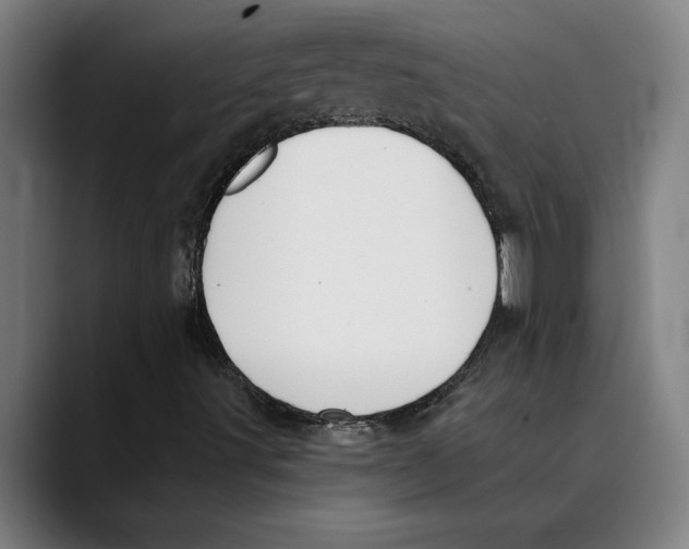 X0000089341491200707131502