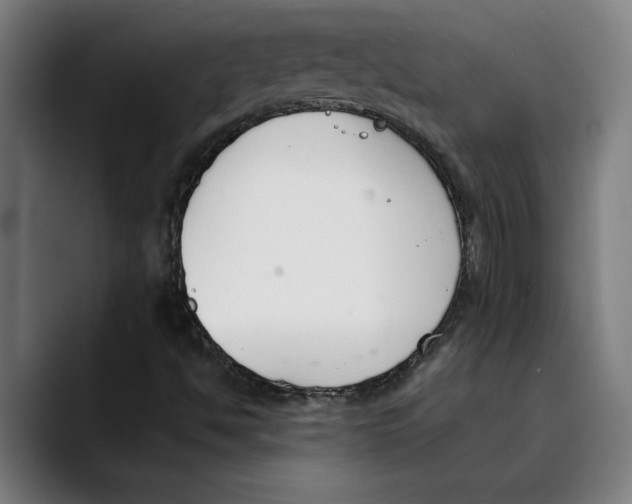 X0000089341494200707131502