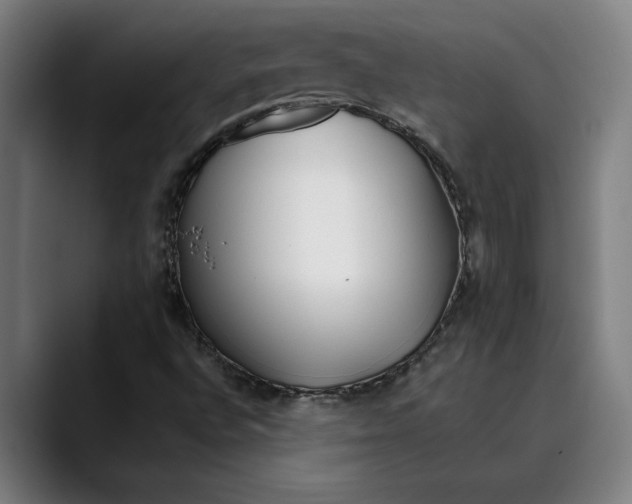 X0000089341496200707131502
