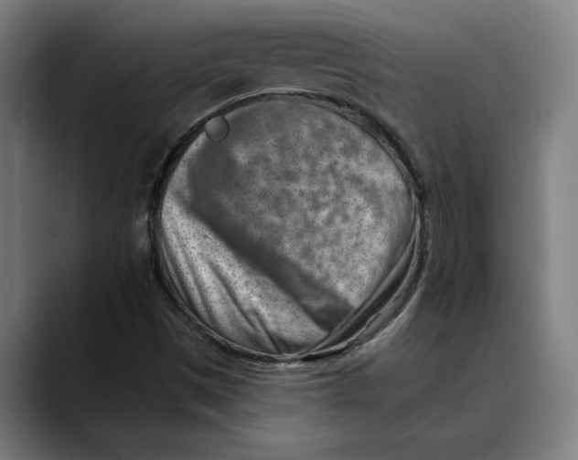 X0000089341497200707131502
