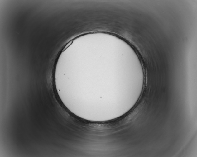 X0000089341500200707131502
