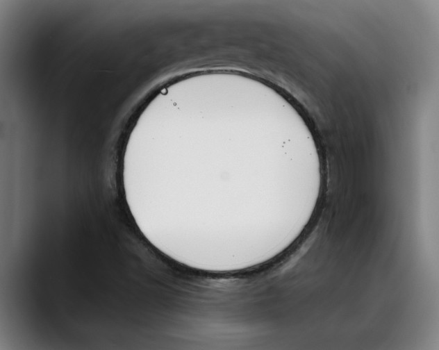 X0000089341502200707131502