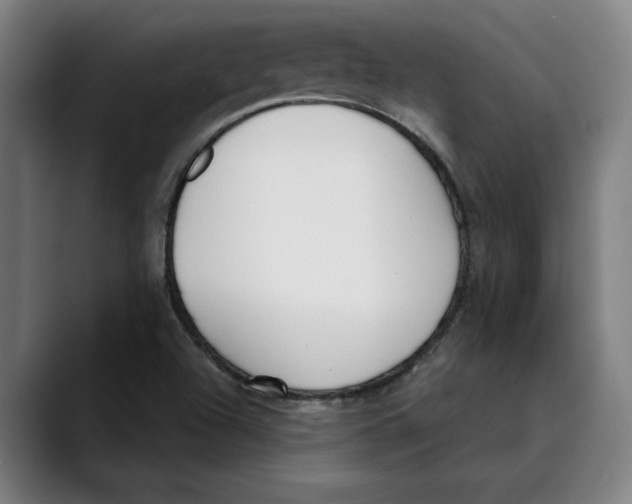 X0000089341504200707131502