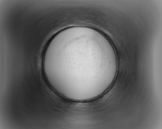 X0000089341506200707131502