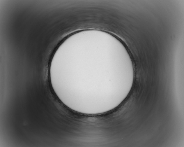 X0000089341507200707131502
