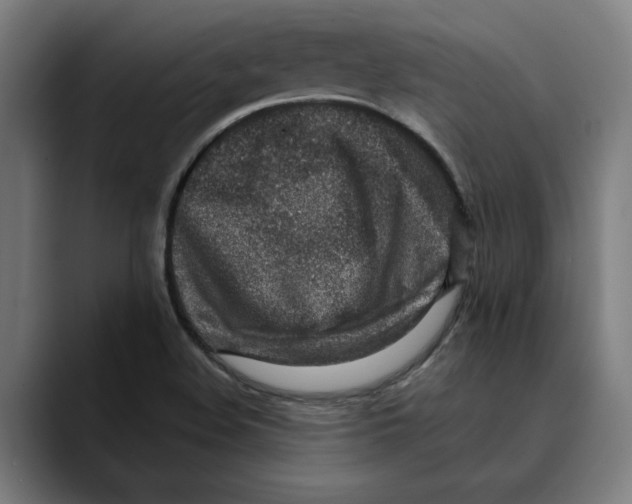 X0000089341508200707131502