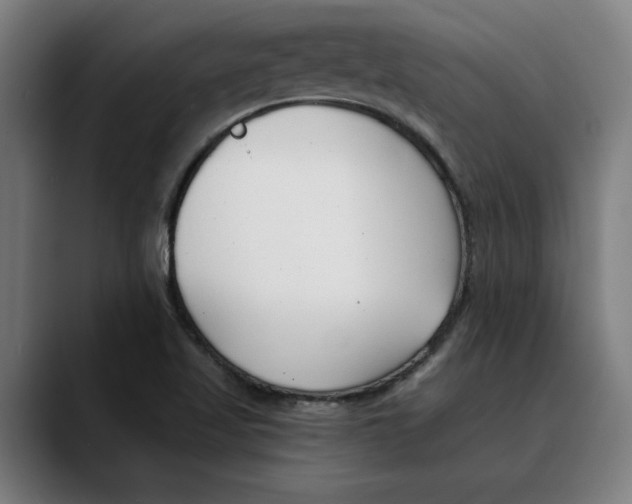 X0000089341509200707131502