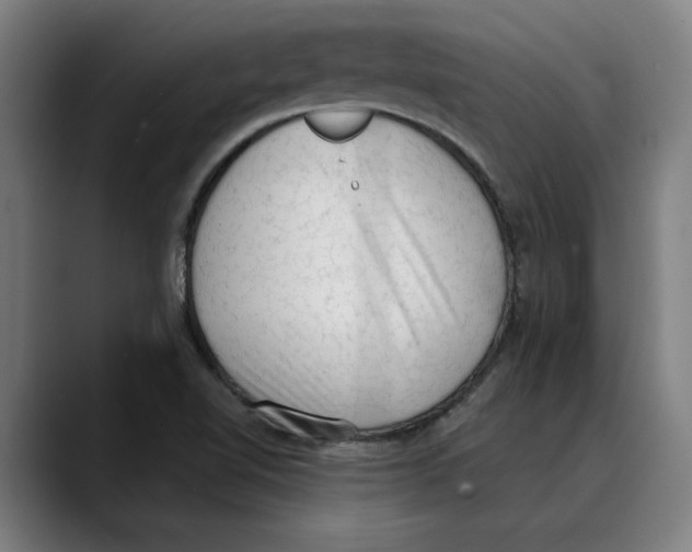 X0000089341510200707131502