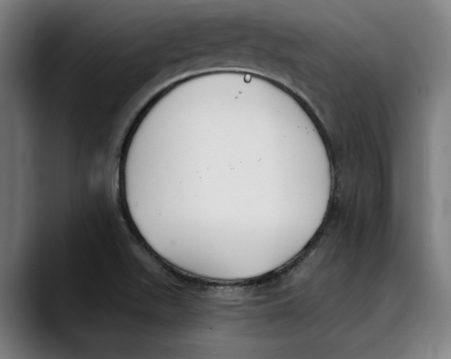 X0000089341511200707131502