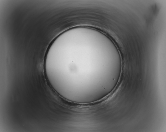X0000089341513200707131502