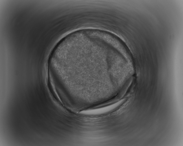 X0000089341515200707131502
