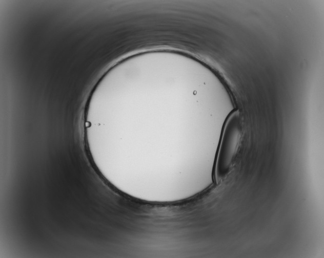 X0000089341516200707131502