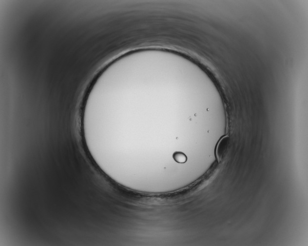 X0000089341517200707131502