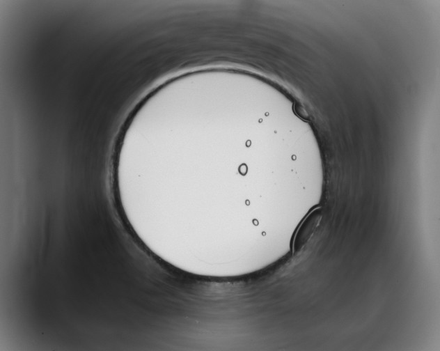 X0000089341518200707131502
