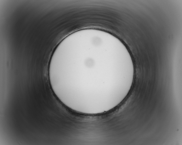 X0000089341521200707131502