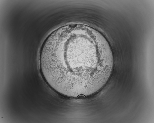 X0000089341522200707131502