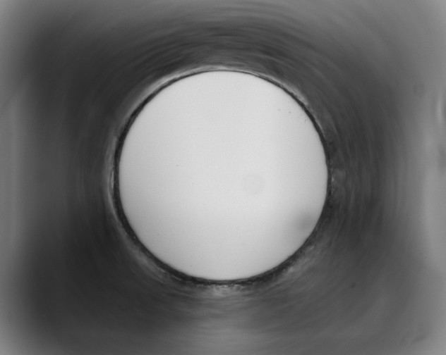 X0000089341523200707131502