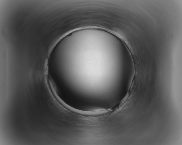 X0000089341524200707131502
