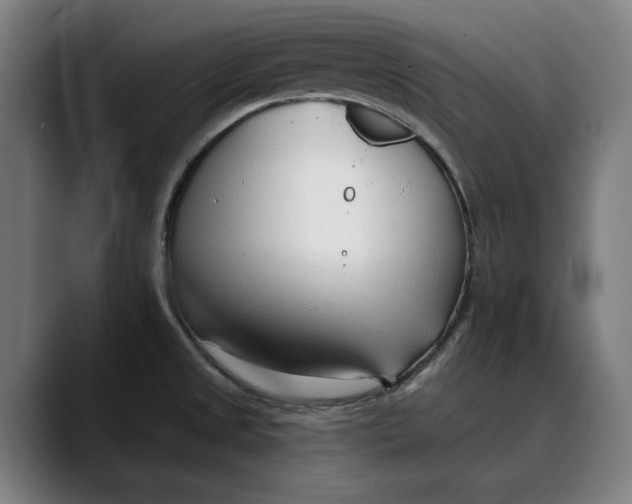 X0000089341525200707131502