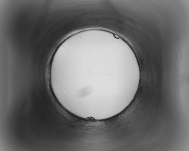 X0000089341526200707131502
