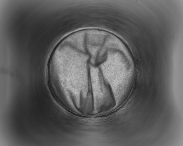 X0000089341527200707131502