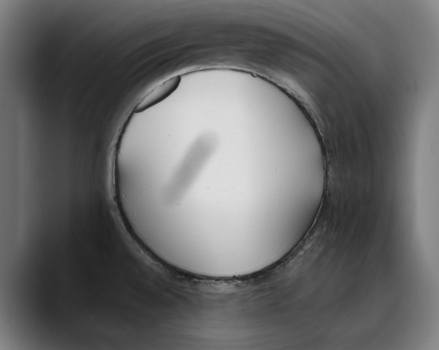 X0000089341528200707131502