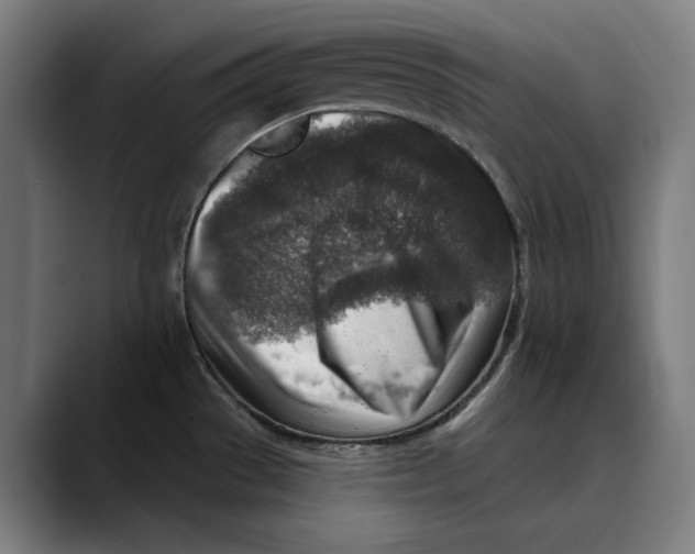 X0000089341529200707131502