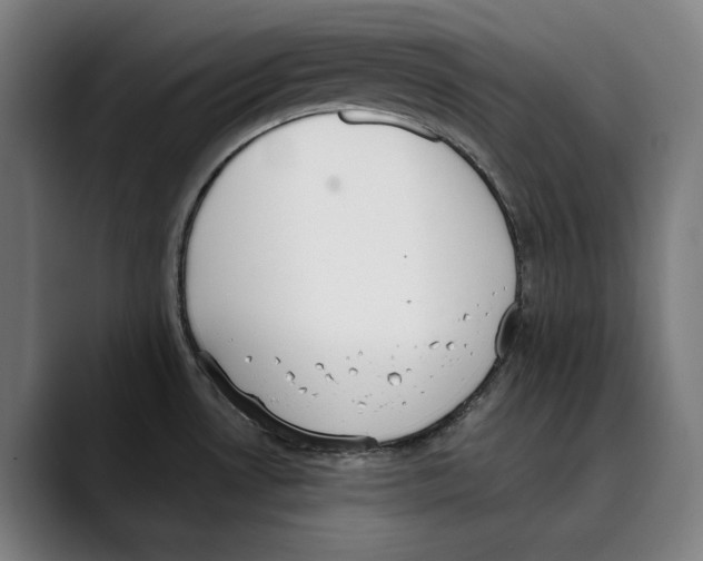 X0000089341530200707131502