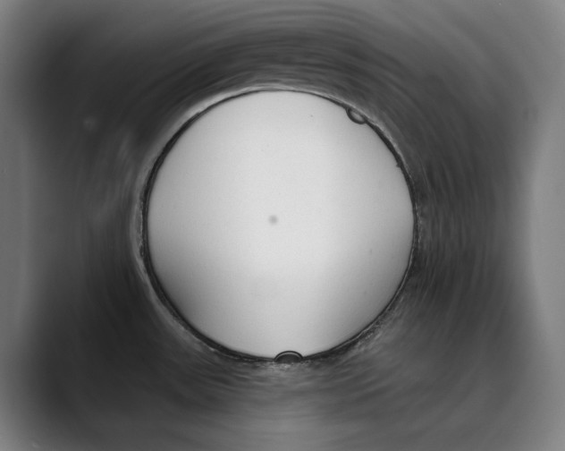X0000089341531200707131502