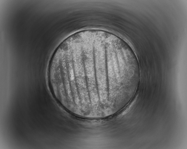 X0000089341533200707131502