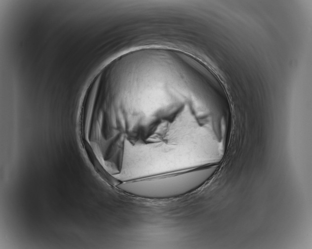 X0000089341536200707131502