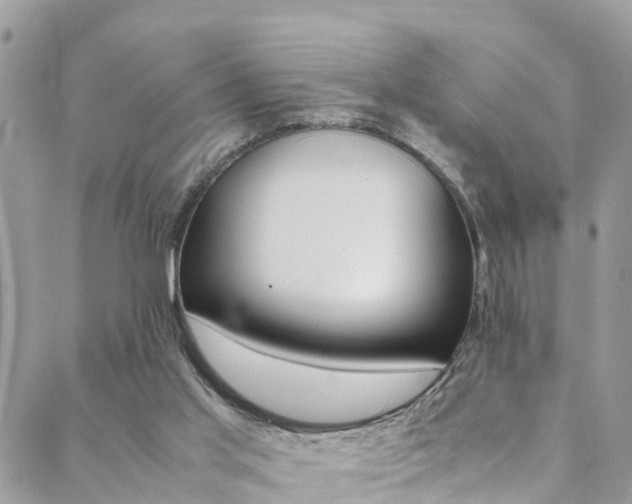 X0000089350013200706150857