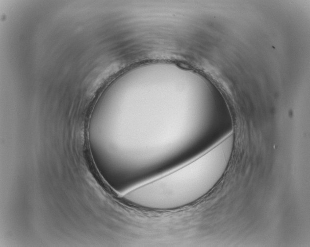 X0000089350015200706150857