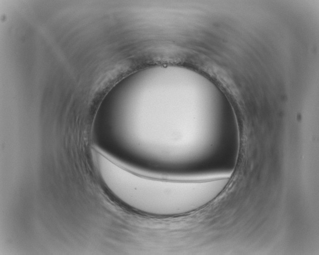 X0000089350017200706150857