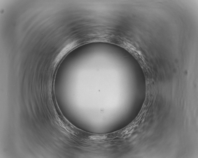 X0000089350051200706150856
