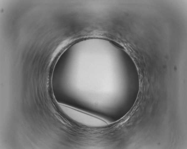 X0000089350056200706150856