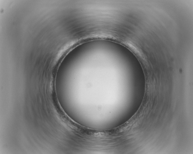 X0000089350064200706150856