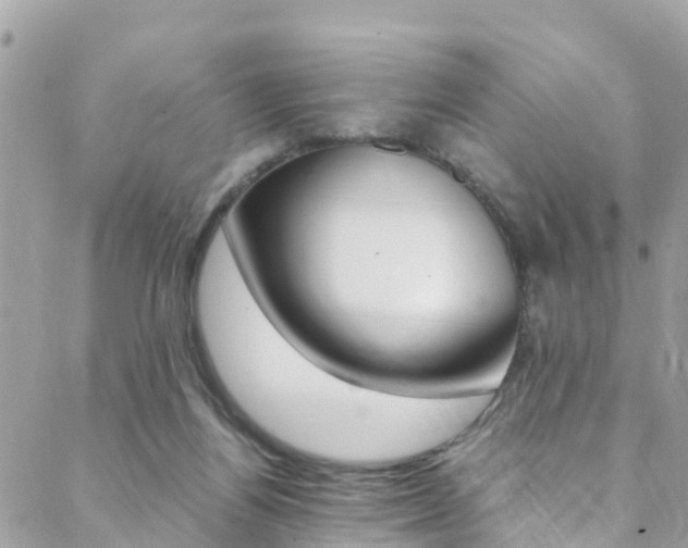X0000089350164200706150854