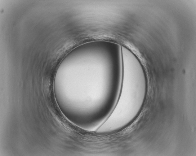 X0000089350201200706150854
