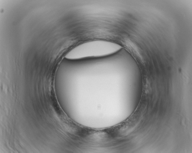 X0000089350210200706150854
