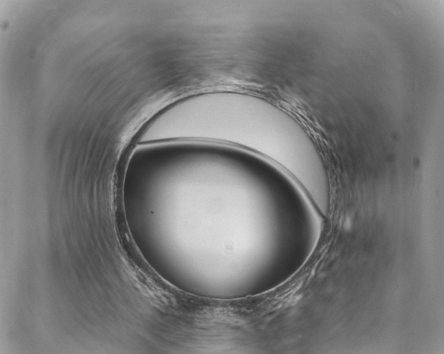X0000089350244200706150852