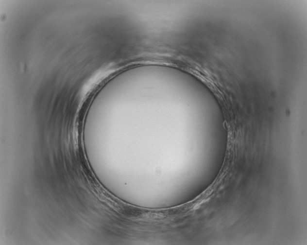 X0000089350294200706150852