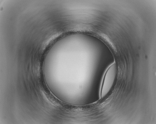 X0000089350588200706150848